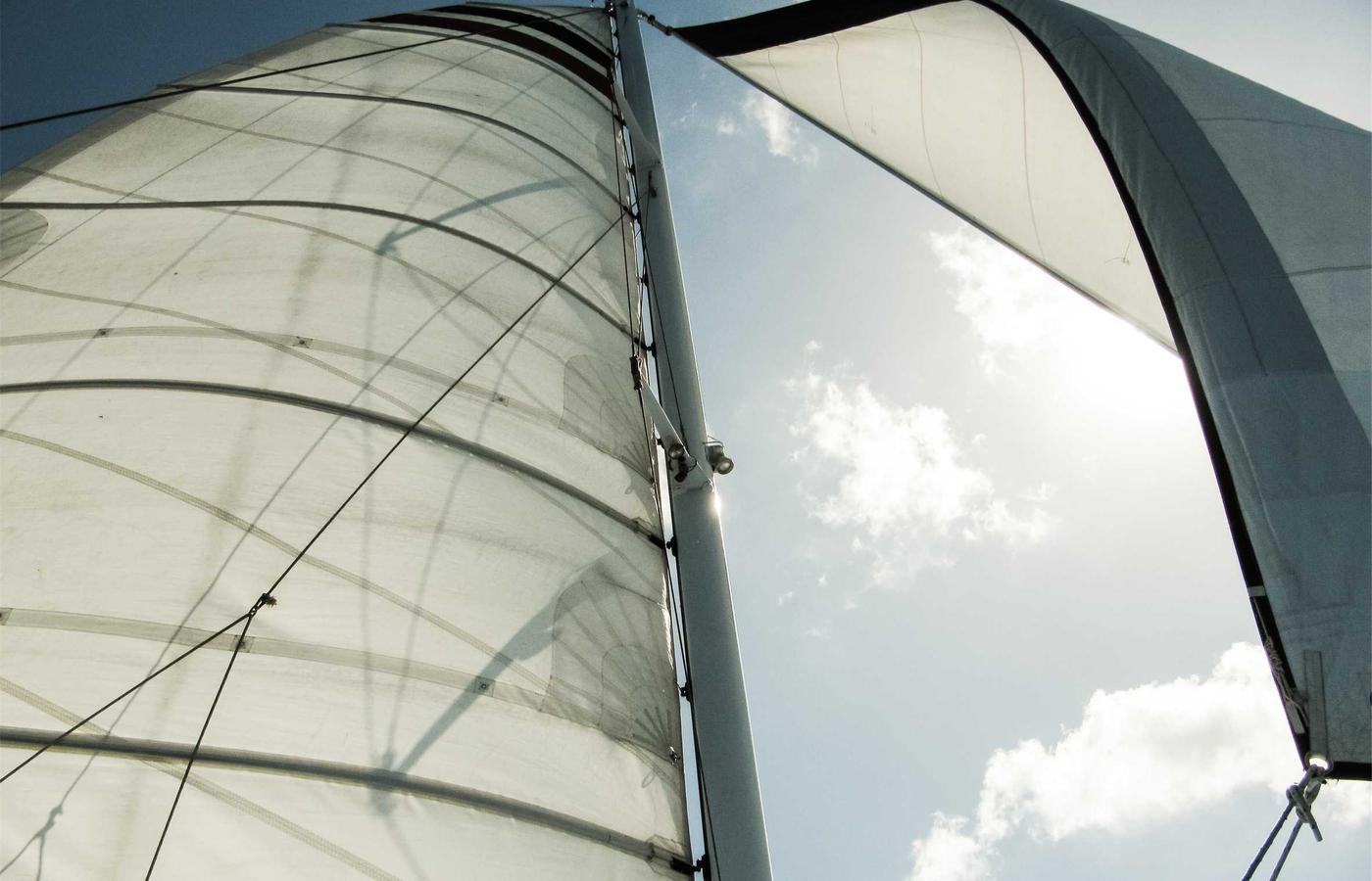 Portrait of Robert Chen