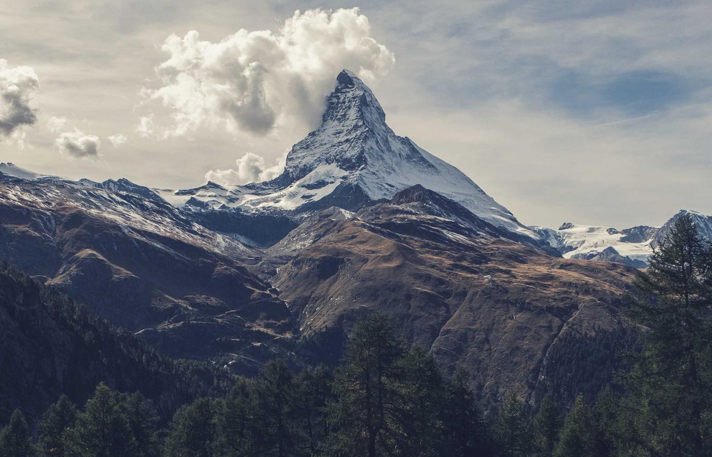 Portrait of Dr. Evelyn Reed